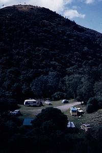 The picnic place in Kelsey's Bush Reserve, the watersupply of the town of Waimate (24 March 1959-13 April1959) by Leslie Adkin.