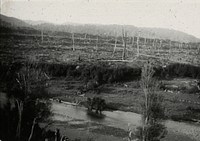 Panorama (right hand part) of flight of terraces on left bank of Ohau River in the intermontane part of its valley 2 mile above the fan apex (circa 1960) by Leslie Adkin.