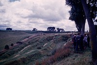 Large scale triple ditches and ramparts on the NW side of the main Tururturu-mokai pa (18 February 1961-19 February 1961) by Leslie Adkin.