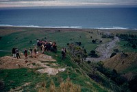 View from above of Pukehuiake pa-citadel located high above coastal flat on a narrow spur-crest .... (15 May 1960) by Leslie Adkin.