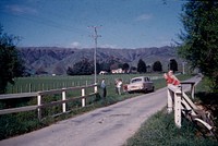 "Woodside" Queen Street East, Levin from the Koputaroa stream bridge (07 October 1961) by Leslie Adkin.