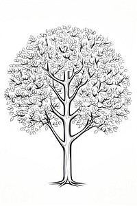 Tree sketch drawing white. AI generated Image by rawpixel.
