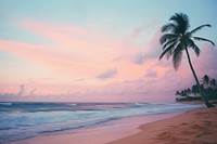 Sunset beach with coconut trees landscape summer outdoors. 