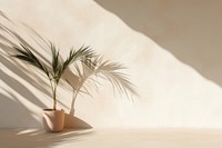 A palm tree shadow nature plant leaf. AI generated Image by rawpixel.