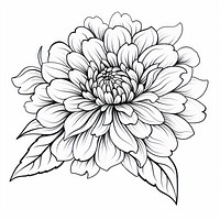 Flower drawing dahlia nature. AI generated Image by rawpixel.