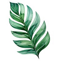 Botanical leaf plant green herbs. AI generated Image by rawpixel.