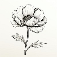 Flower drawing sketch white. AI generated Image by rawpixel.