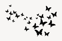 Butterflies flying silhouette wildlife animal.