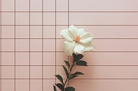 Flower grid background architecture backgrounds petal. AI generated Image by rawpixel.
