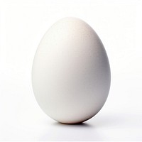 One egg white background simplicity fragility. AI generated Image by rawpixel.