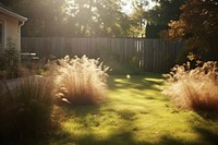Backyard grass outdoors nature. AI generated Image by rawpixel.
