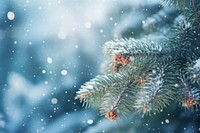 Pine tree snow christmas outdoors. AI generated Image by rawpixel.