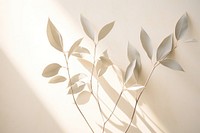 Shadow of a foliage wall nature plant. AI generated Image by rawpixel.