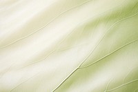 Leave texture plant leaf backgrounds. AI generated Image by rawpixel.