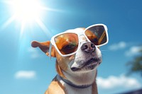 A dog wearing sunglasses outdoors mammal animal. AI generated Image by rawpixel.