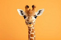 A baby giraffe wildlife animal mammal. AI generated Image by rawpixel.