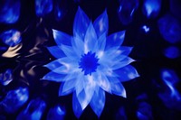 Blue water lily backgrounds inflorescence illuminated. AI generated Image by rawpixel.