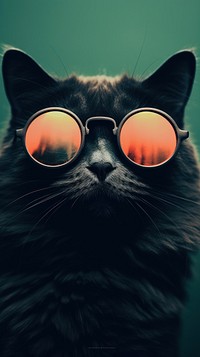 Cat wearing glasses mammal animal pet. AI generated Image by rawpixel.