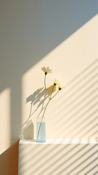 Flower sunlight shadow window. AI generated Image by rawpixel.