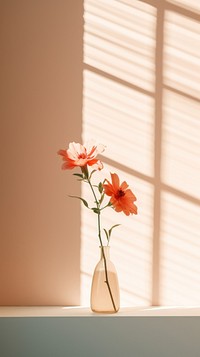 Flower window windowsill plant. 