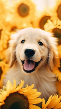 Happy golden retriever sunflower puppy mammal. AI generated Image by rawpixel.