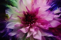 Dahlia dahlia backgrounds flower. AI generated Image by rawpixel.