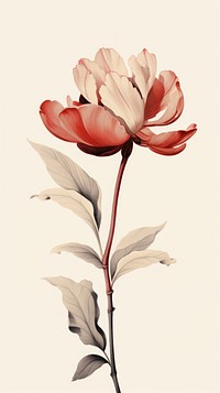 Flower drawing sketch petal. AI generated Image by rawpixel.