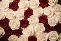 White roses backgrounds flower petal. 