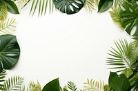 Botanical backgrounds outdoors nature. AI generated Image by rawpixel.