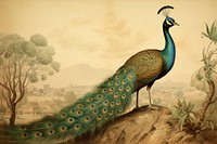 Peacock painting animal bird. AI generated Image by rawpixel.