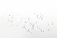 Floating Dandelion seed white backgrounds white background. AI generated Image by rawpixel.