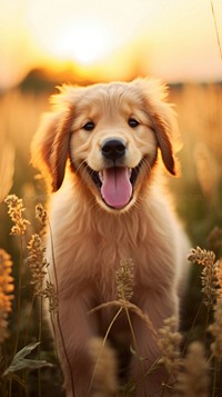 Happy golden retriever puppy outdoors mammal. AI generated Image by rawpixel.