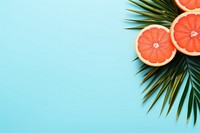 Summer background backgrounds grapefruit plant. AI generated Image by rawpixel.