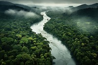 Rainforest river outdoors nature plant. AI generated Image by rawpixel.
