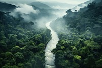 Rainforest river outdoors nature plant. AI generated Image by rawpixel.