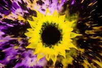 Sunflower backgrounds pattern purple. AI generated Image by rawpixel.