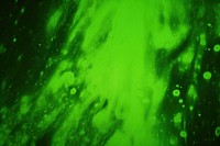 Green glow backgrounds night algae. AI generated Image by rawpixel.