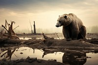 Climate change animal wildlife outdoors. AI generated Image by rawpixel.