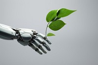 3d robot hand holding a green leaf technology plant futuristic. AI generated Image by rawpixel.
