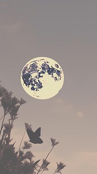 Butterflies and the moon astronomy outdoors nature. AI generated Image by rawpixel.