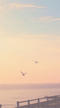 Seagull outdoors nature sunset. AI generated Image by rawpixel.