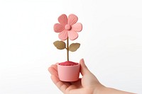 Hand holding flower petal plant white background. AI generated Image by rawpixel.