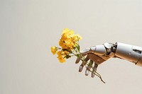 Flower yellow plant hand. AI generated Image by rawpixel.