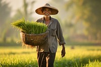 Old man carrying baskets through the rice field countryside outdoors nature. AI generated Image by rawpixel.