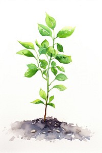 Plant sapling herbs leaf soil. AI generated Image by rawpixel.