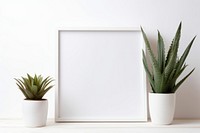 Picture frame plant aloe white background. AI generated Image by rawpixel.