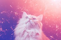 Cat animal mammal kitten. AI generated Image by rawpixel.