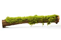 Fresh green moss on rotten branch plant tree white background. AI generated Image by rawpixel.