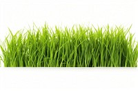 Green grass plant lawn white background. AI generated Image by rawpixel.