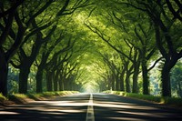 Road through tree tunnel landscape outdoors woodland. AI generated Image by rawpixel.